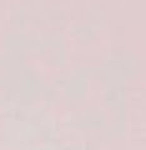 Meet your Posher, Izzy